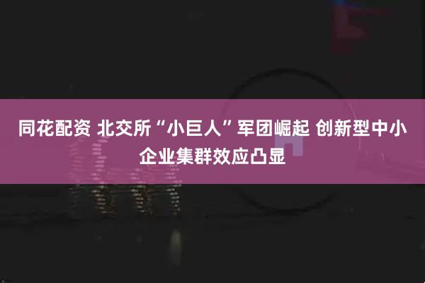 同花配资 北交所“小巨人”军团崛起 创新型中小企业集群效应凸显