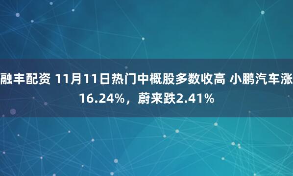 融丰配资 11月11日热门中概股多数收高 小鹏汽车涨16.24%，蔚来跌2.41%